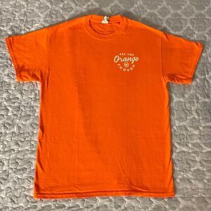 [Size Medium] Gildan Ultra Cotton 'Are You Orange Enough' Kyle TX Texas T Shirt